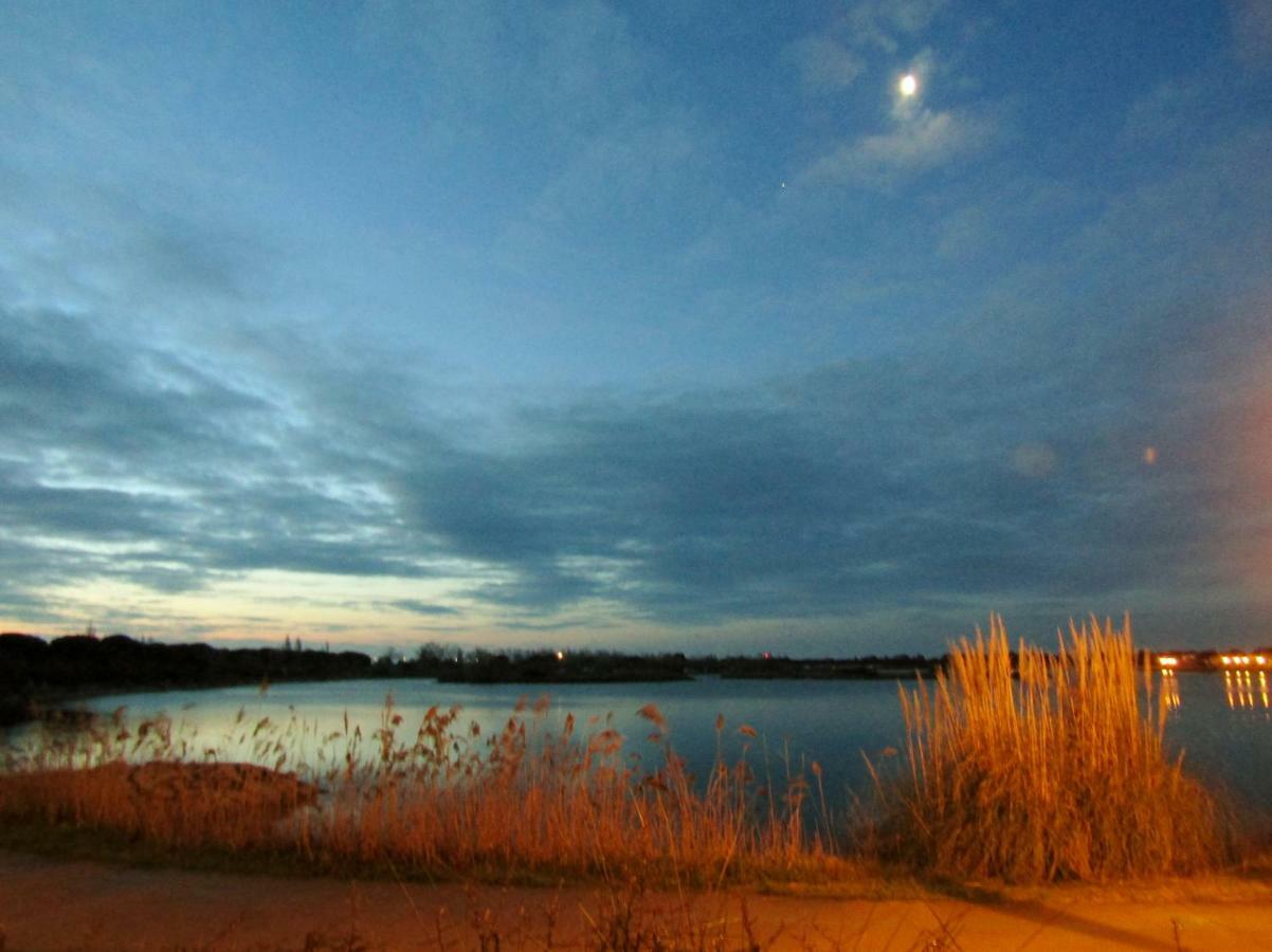 Les Rives Du Lac Le Grau-du-Roi Eksteriør billede